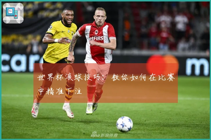 世界杯滚球技巧：教你如何在比赛中精准下注