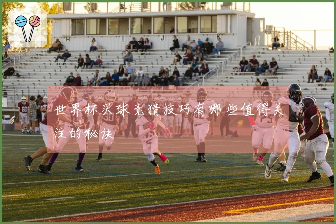 世界杯买球竞猜技巧有哪些值得关注的秘诀