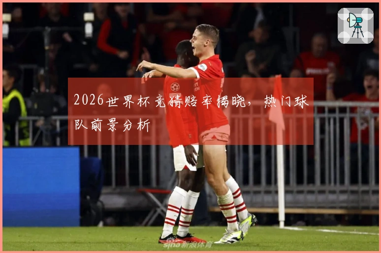 2026世界杯竞猜赔率揭晓，热门球队前景分析