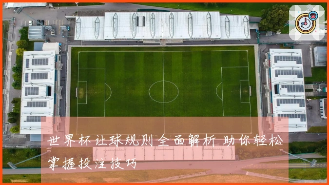 世界杯让球规则全面解析 助你轻松掌握投注技巧