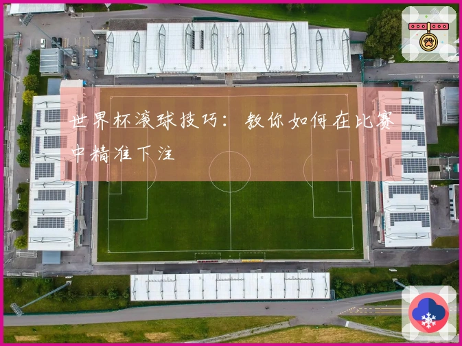 世界杯滚球技巧：教你如何在比赛中精准下注