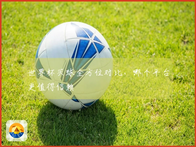 世界杯买球全方位对比，哪个平台更值得信赖